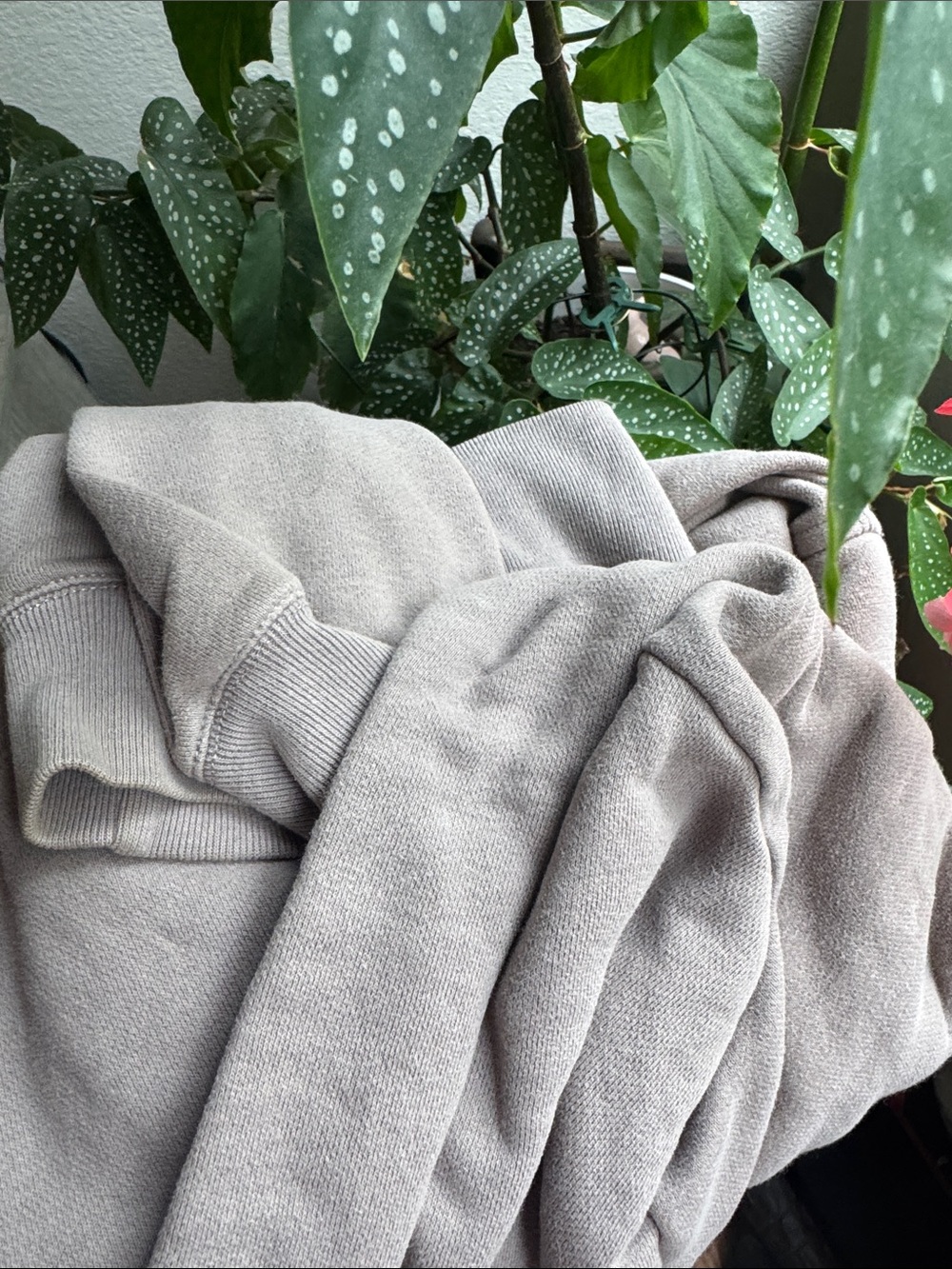 Abercrombie & Fitch Taupe Hooded Track Set - Picture 4 of 4